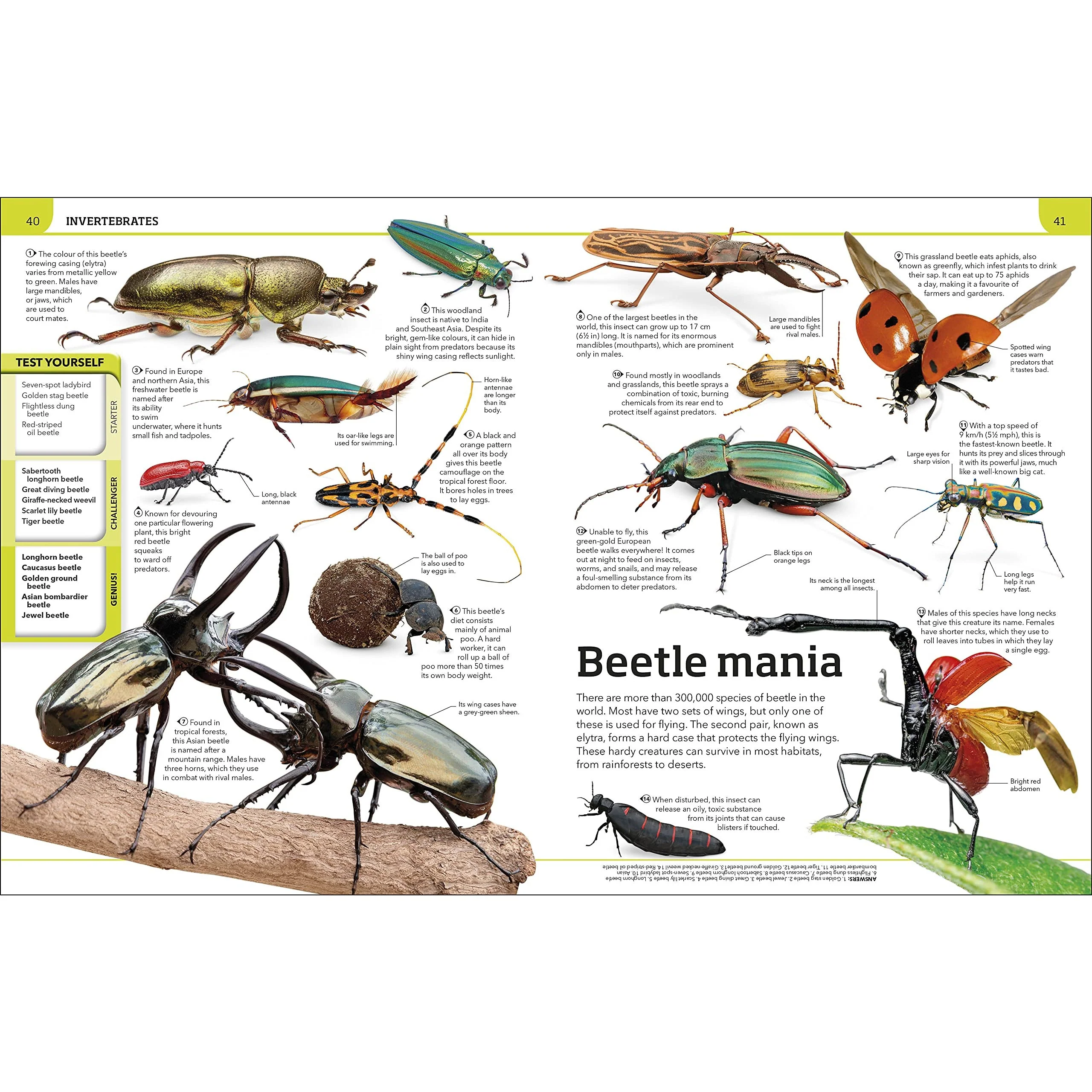 Animal Knowledge Genius!: A Quiz Encyclopedia to Boost Your Brain - Image 4