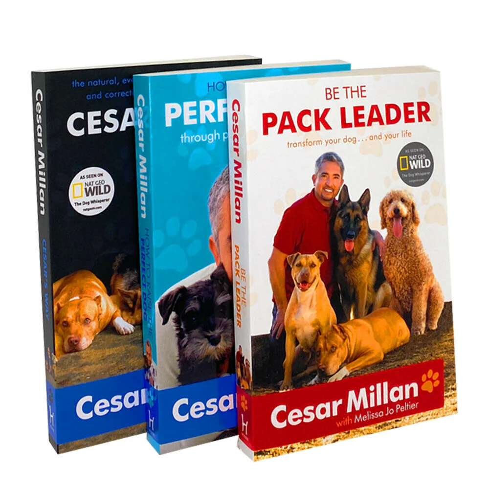 Cesar Millan 3 Books Collection Set (How to Raise the Perfect Dog, Cesars Way, Be the Pack Leader) - Image 2