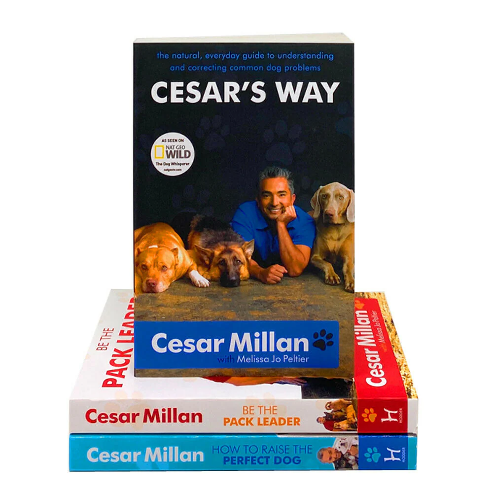 Cesar Millan 3 Books Collection Set (How to Raise the Perfect Dog, Cesars Way, Be the Pack Leader) - Image 3