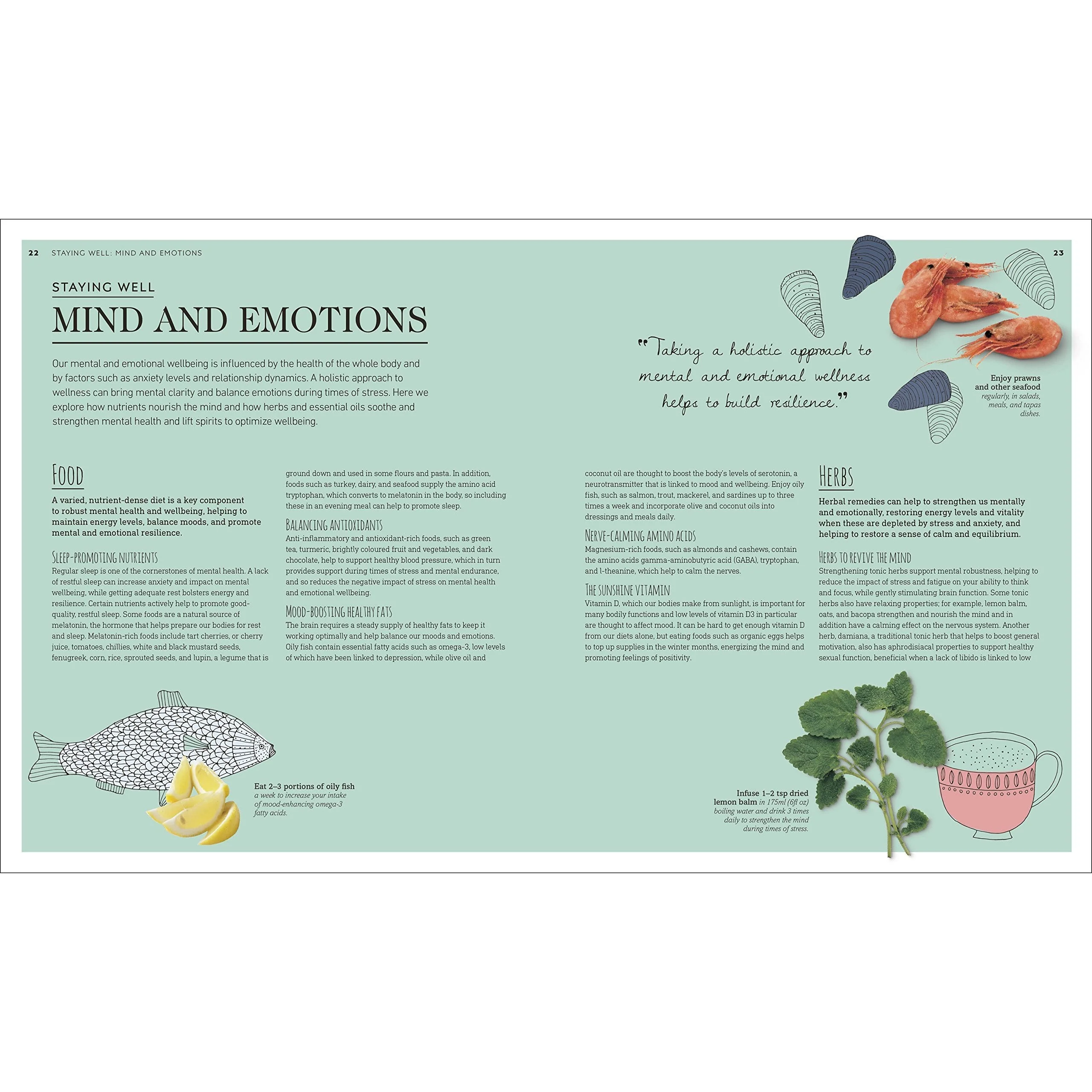 Neal's Yard Remedies Complete Wellness: Enjoy Long-lasting Health and Wellbeing with over 800 Natural Remedies - Image 5