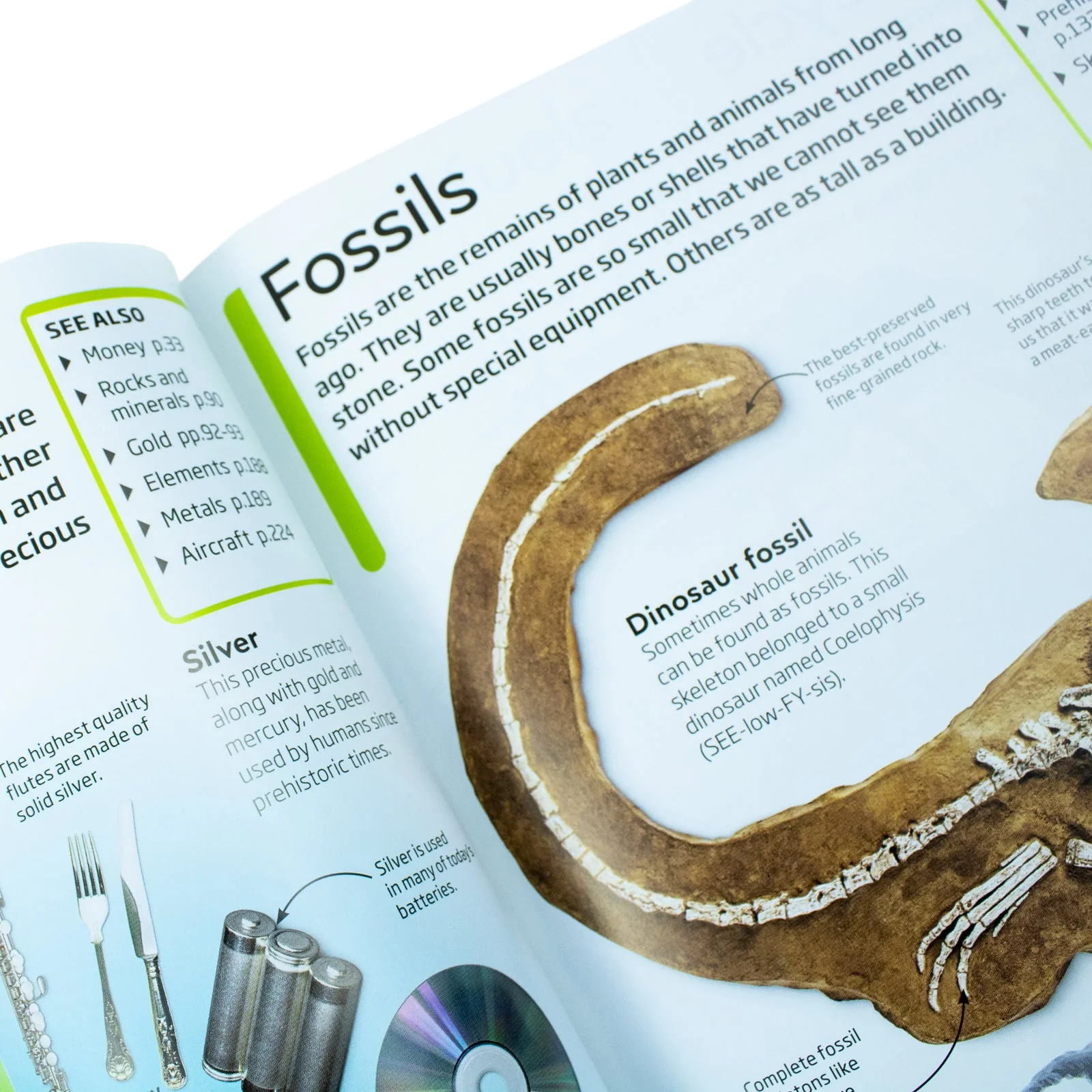 DK Children’s Encyclopedia: The Book That Explains Everything | Illustrated Reference Book on Science, History, Nature & More for Kids - Image 6