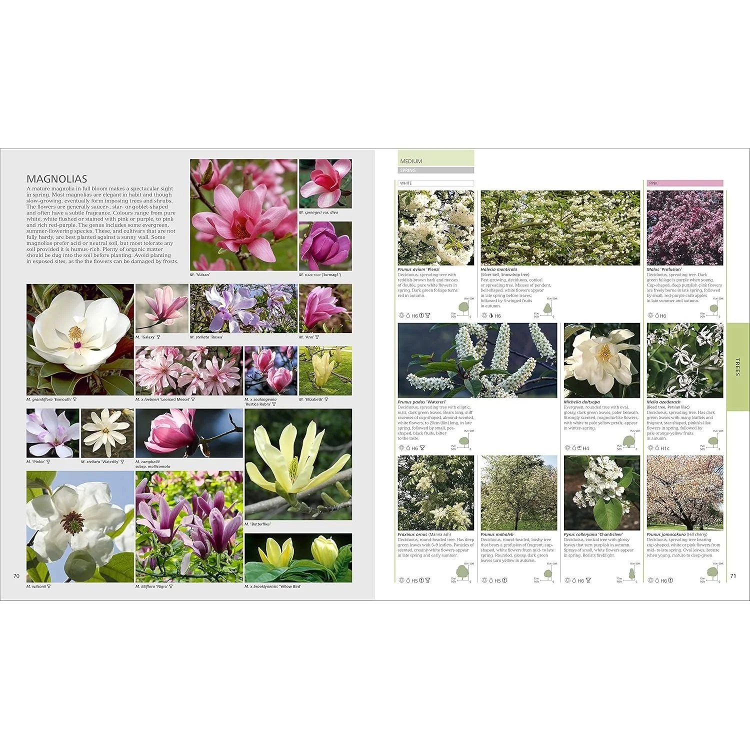 RHS Encyclopedia of Plants and Flowers | The Definitive Gardening Guide by the Royal Horticultural Society - Image 4