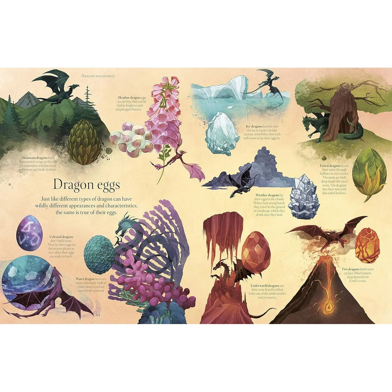 Dragon World (Mythical Worlds) by Tamara Macfarlane - Image 9