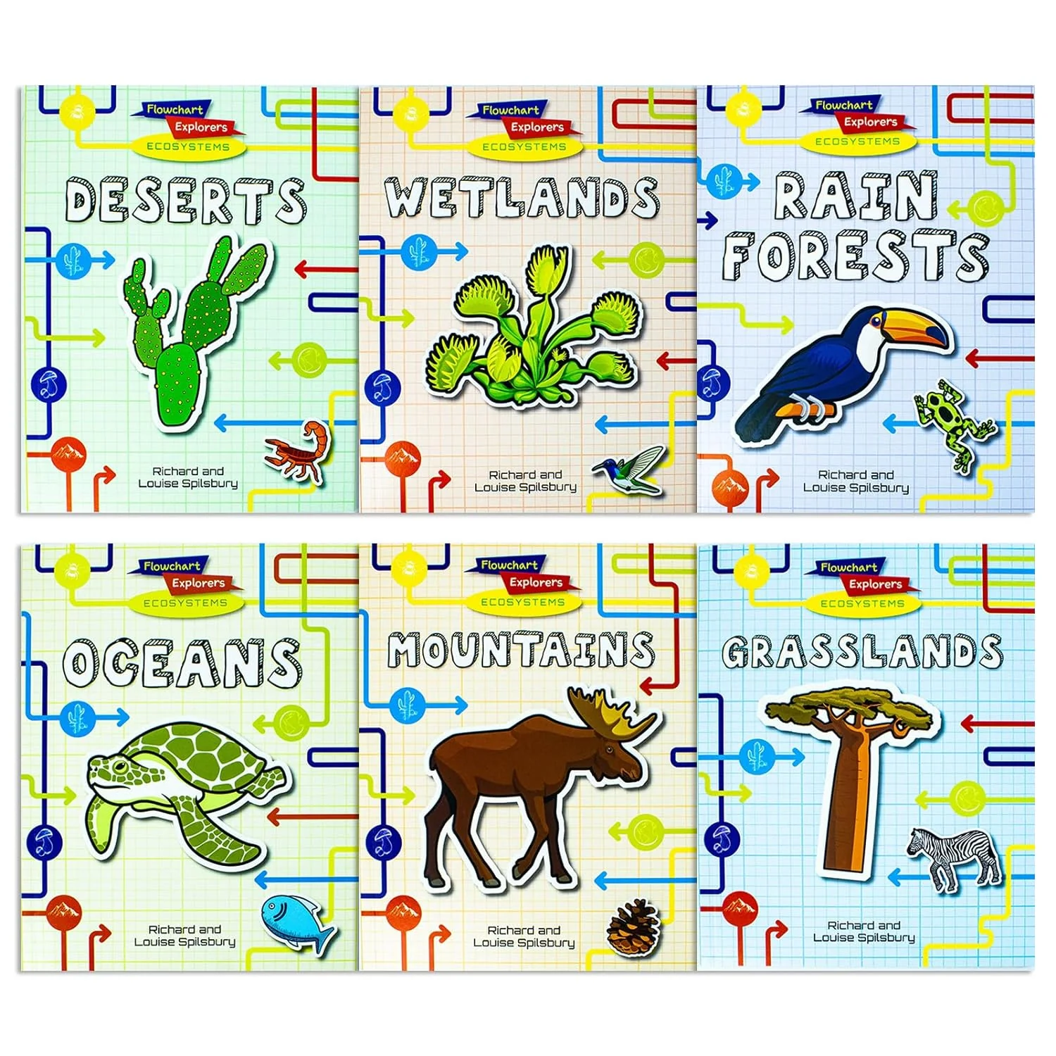 Flowchart Explorers Ecosystems 6 Book Set – Deserts, Oceans, Rainforests & STEM Geography Collection - Image 2