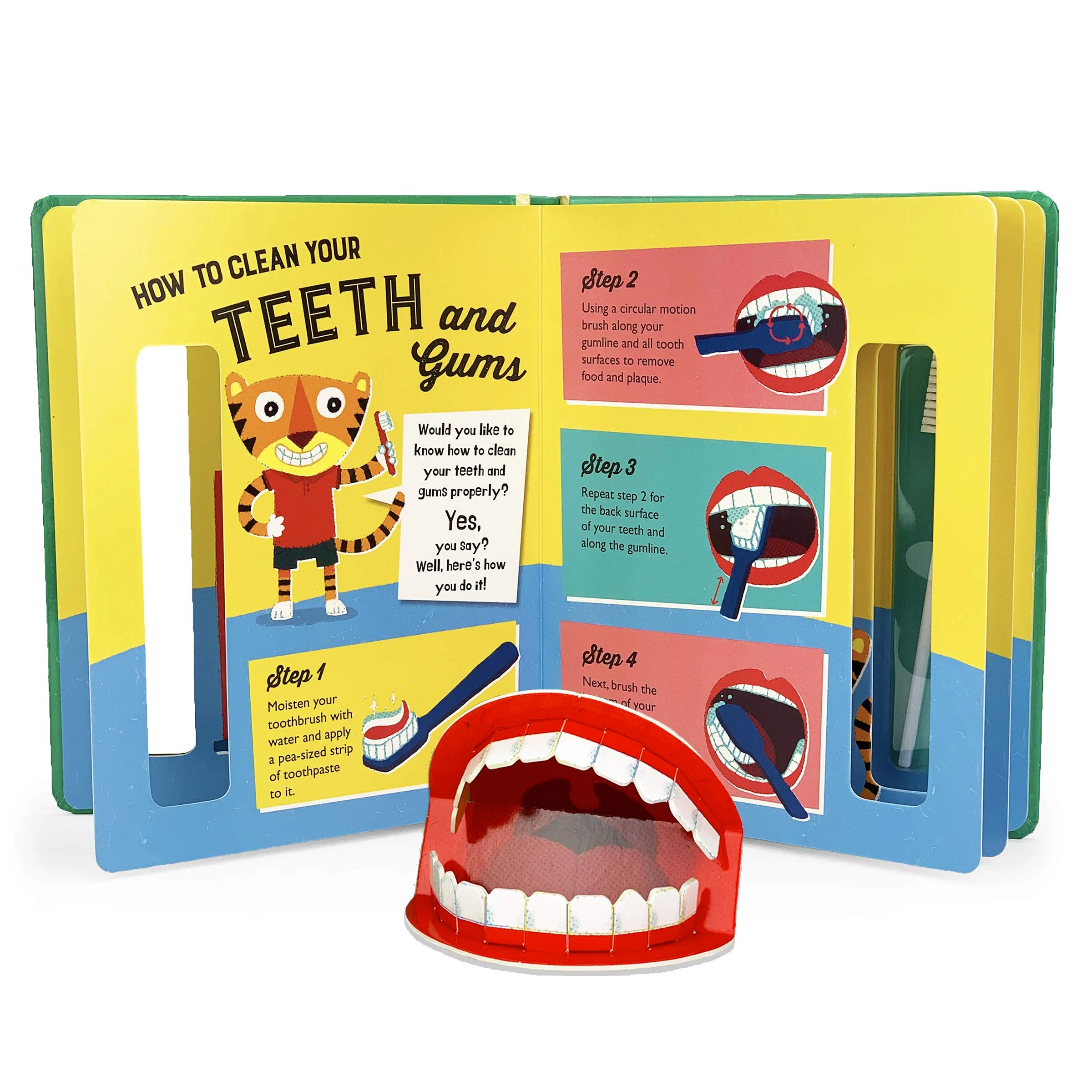 How To... Brush Your Teeth Children Early Learning Baby Kids Book - Image 4