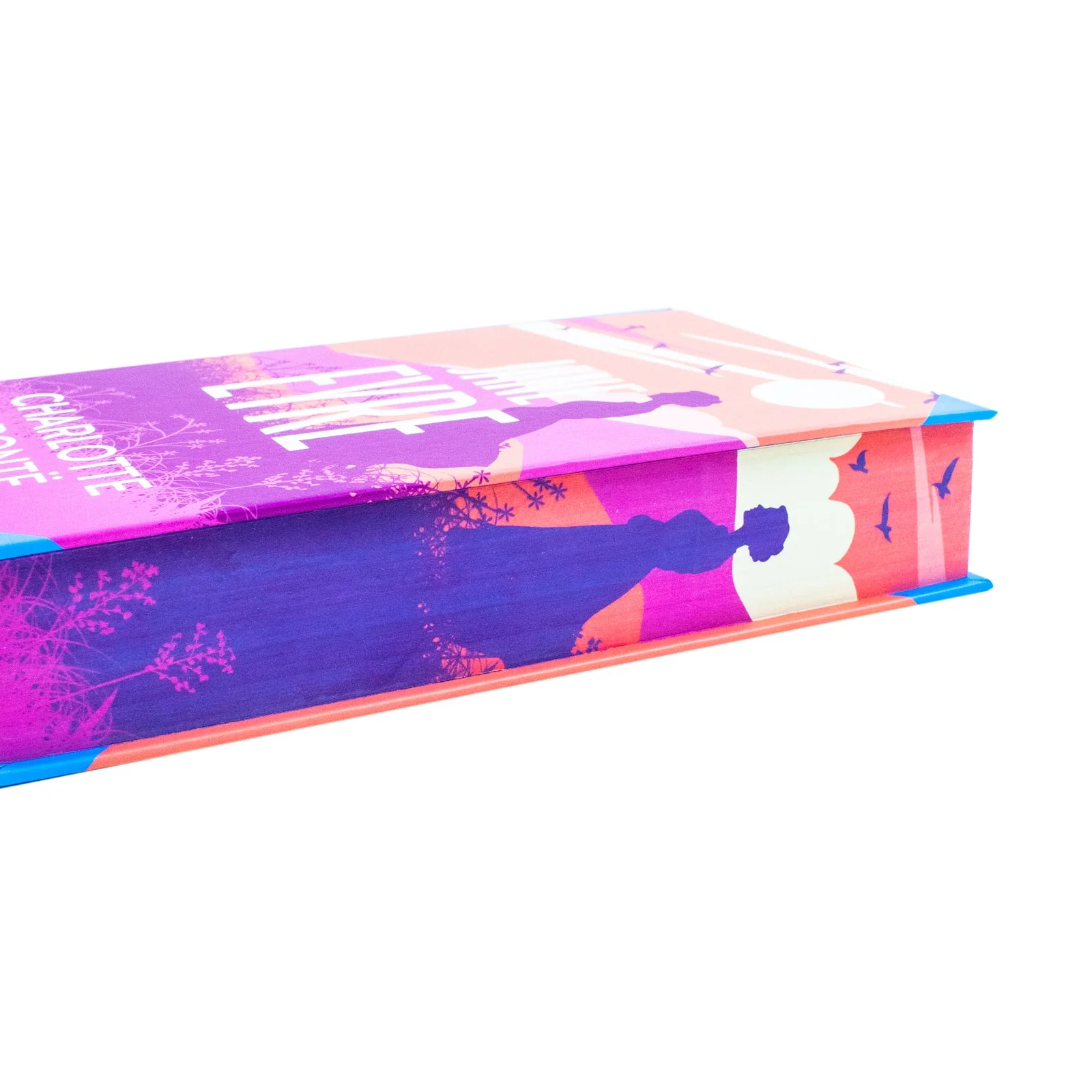 Jane Eyre by Charlotte Bronte (Deluxe Hardback Sprayed Edge Edition) - Image 3