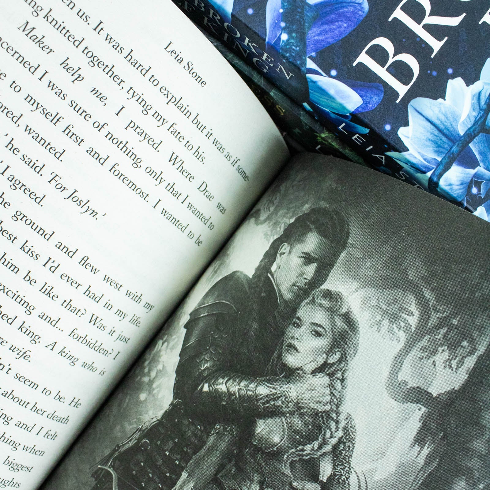 Kings of Avalier 4 Books Collection Set By Leia Stone (The Last Dragon King, The Broken Elf King, The Ruthless Fae King & The Forbidden Wolf King) - Image 7