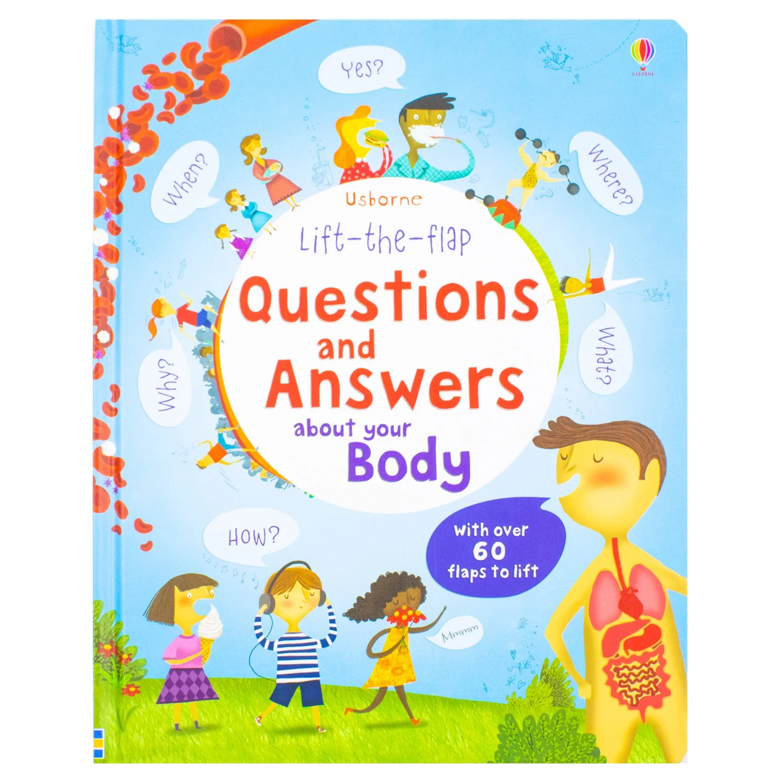 Lift the Flap Questions and Answers about your Body (Usborne Lift-the-Flap-Books) - Image 6