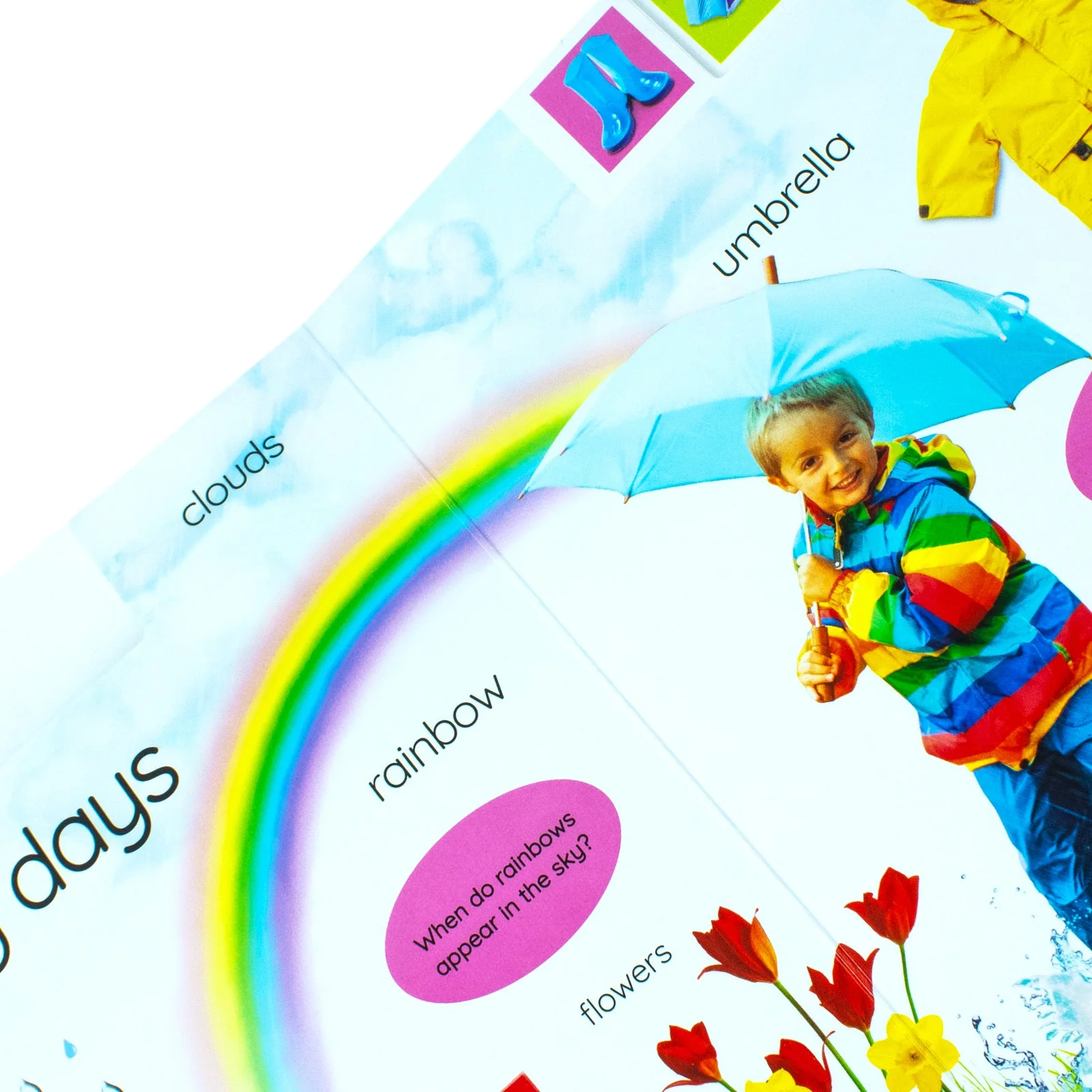 My First Seasons: Let's Learn About the Year! (DK My First Tabbed Board Book) - Image 5
