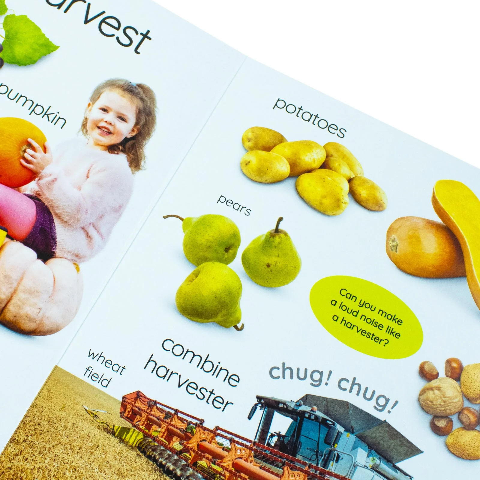 My First Seasons: Let's Learn About the Year! (DK My First Tabbed Board Book) - Image 6