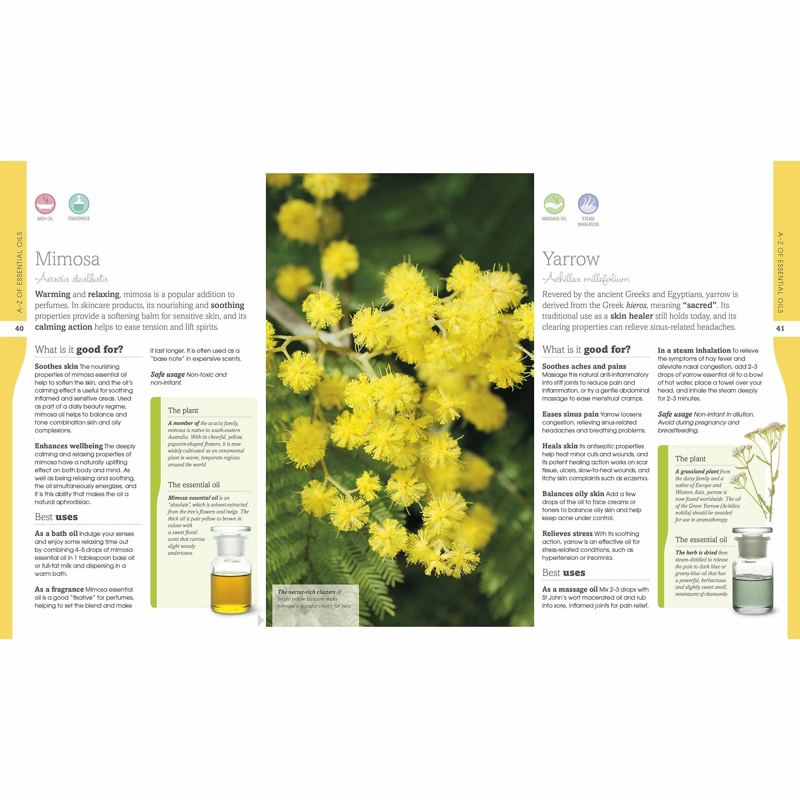 Neal's Yard Remedies Essential Oils: Restore, Rebalance, Revitalize, Feel the Benefits, Enhance Natural Beauty, Create Blends - Image 6
