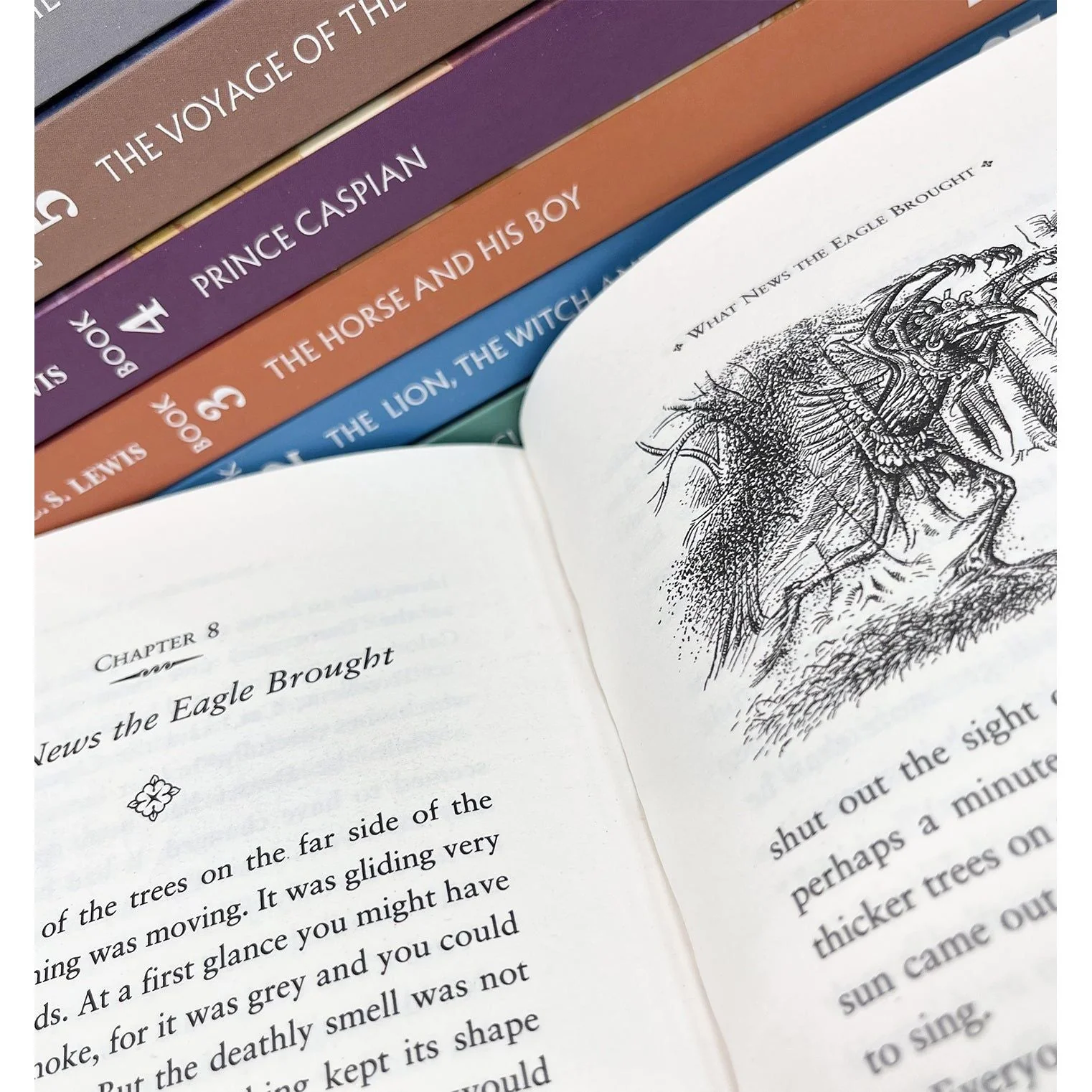 The Chronicles of Narnia 7 Books Collection Box Set By C S Lewis (The Magician's Nephew, The Lion the Witch and the Wardrobe, The Horse and His Boy,Prince Caspian, Voyage of the Dawn Treader & More) - Image 3