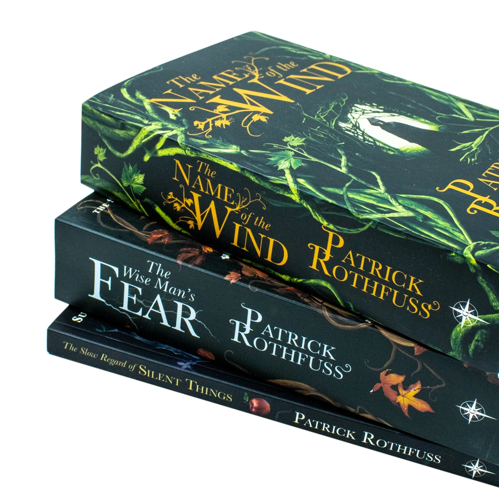 Kingkiller Chronicle Patrick Rothfuss Collection 3 Books Set - Image 3