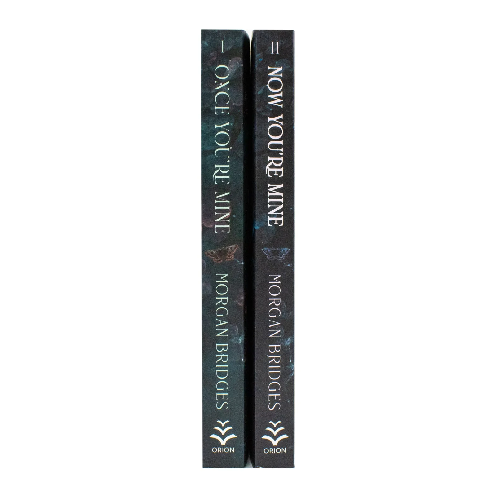 Possessing Her Series 2 Books Set by Morgan Bridges (Once You're Mine, Now You're Mine) | Dark Romance Thriller - Image 2
