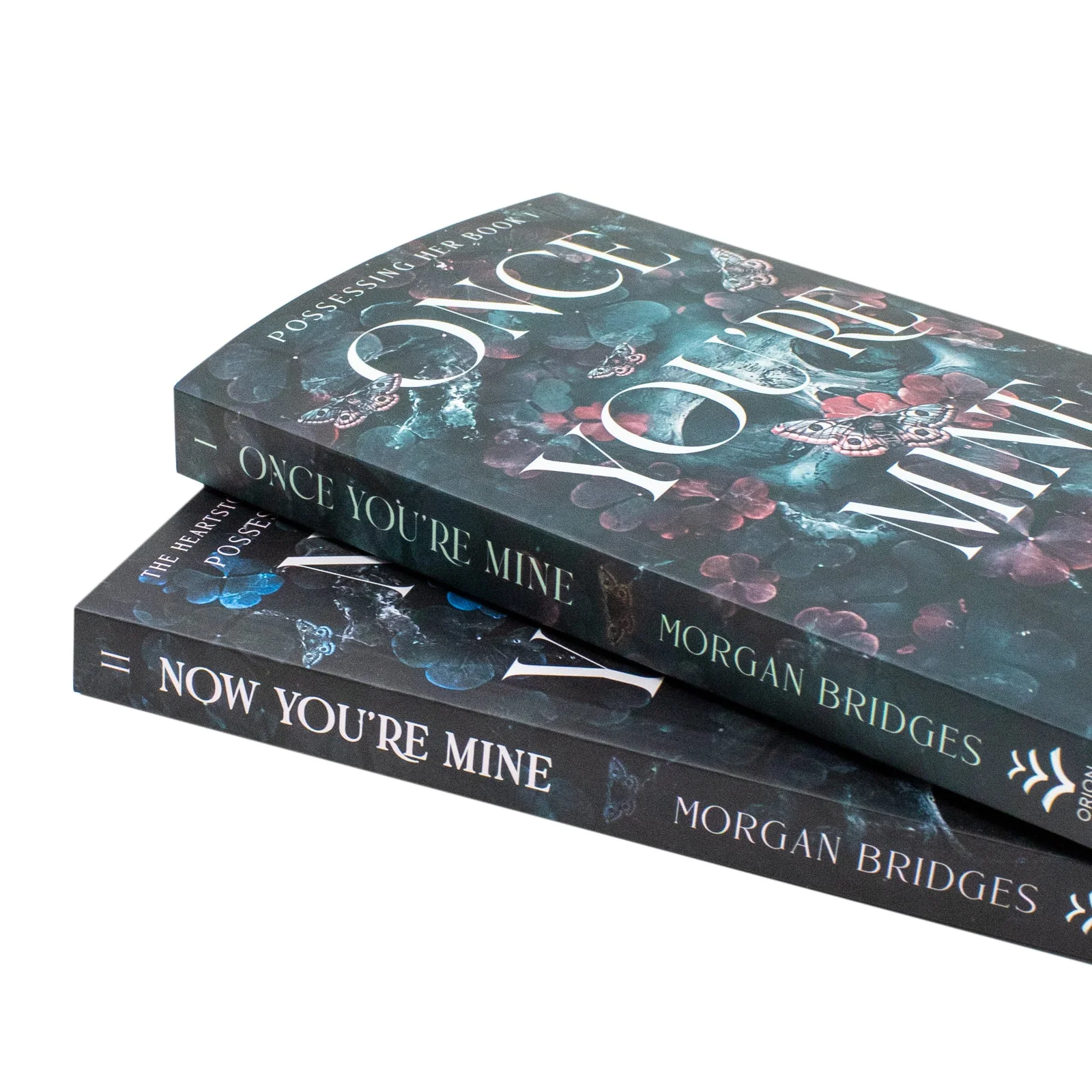 Possessing Her Series 2 Books Set by Morgan Bridges (Once You're Mine, Now You're Mine) | Dark Romance Thriller - Image 3