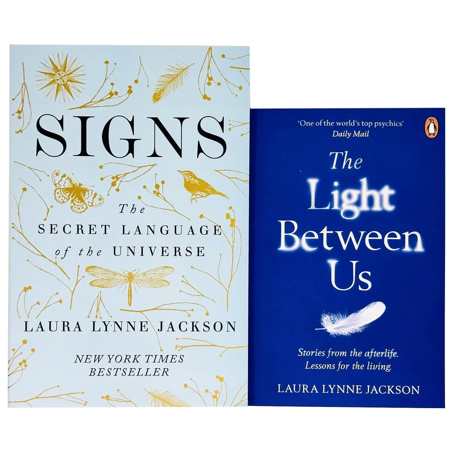 Signs and The Light Between Us 2 Books Collection Set By Laura Lynne Jackson - Image 2