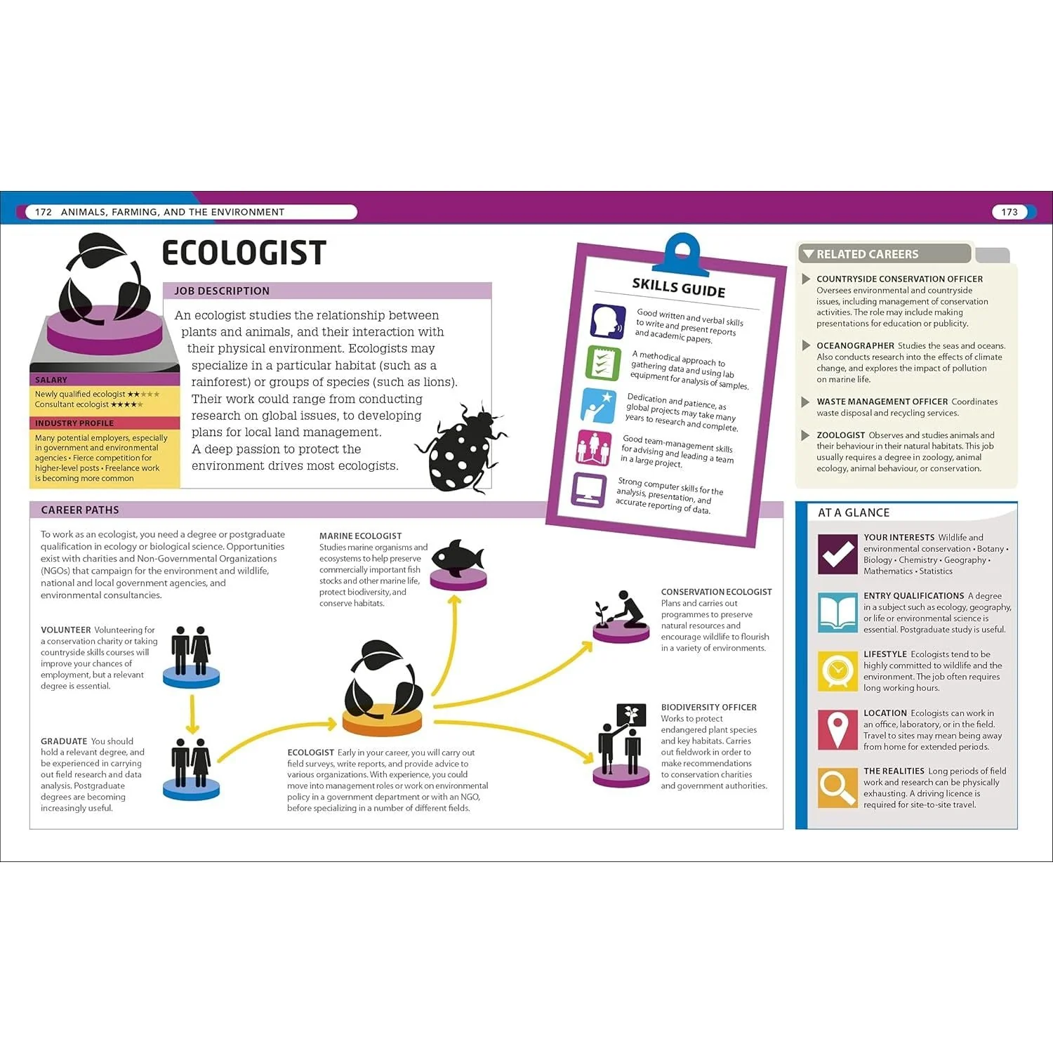 The Careers Handbook: The Ultimate Guide to Planning Your Future By DK - Image 8