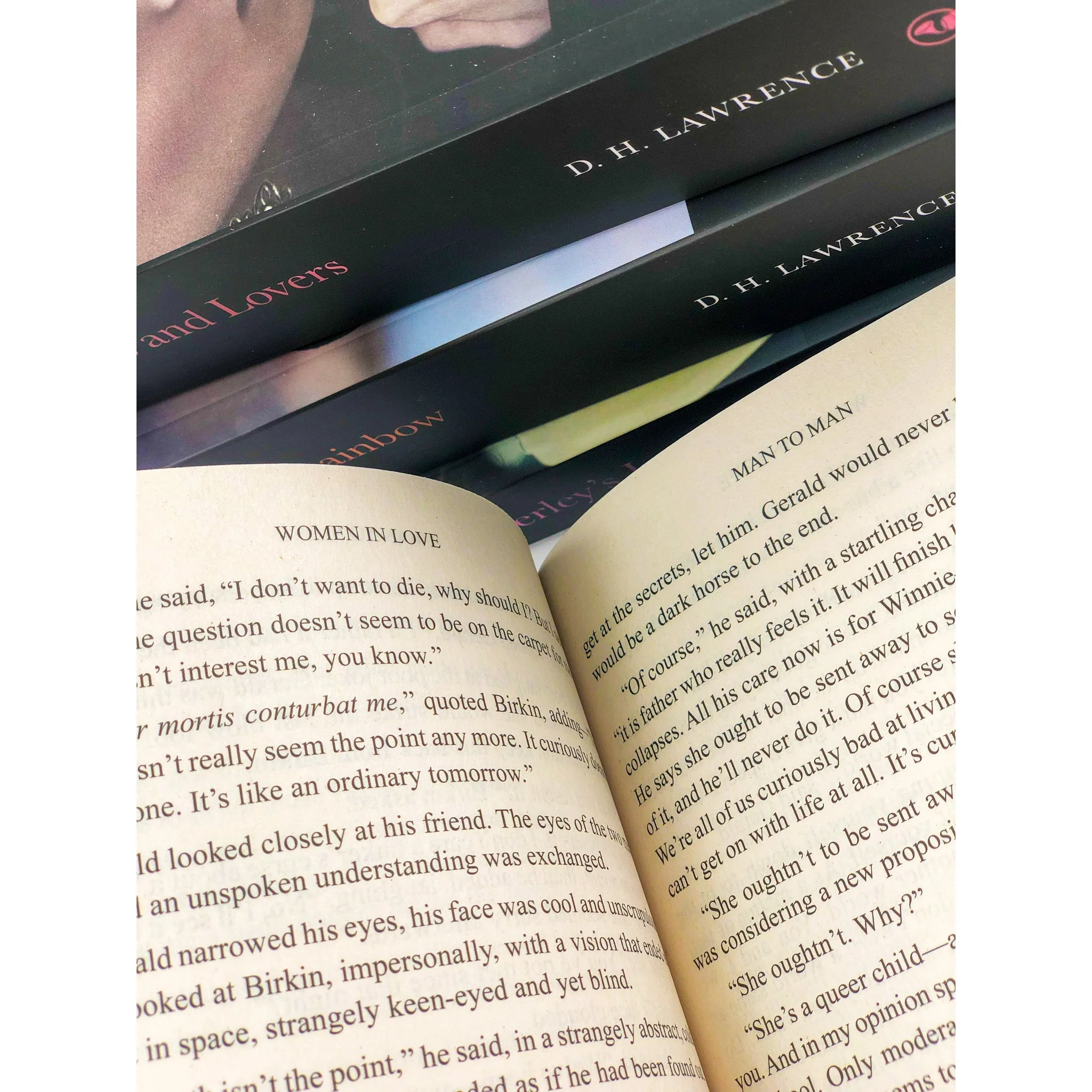 The Complete Novels of D.H. Lawrence 4 Books Collection Box Set (Women in Love, The Rainbow, Sons and Lovers, Lady Chatterley's Lover) - Image 3