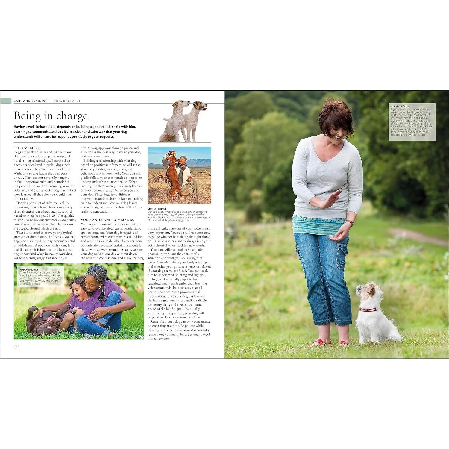 The Dog Encyclopedia: The Definitive Visual Guide (DK Pet Encyclopedias) - Image 6