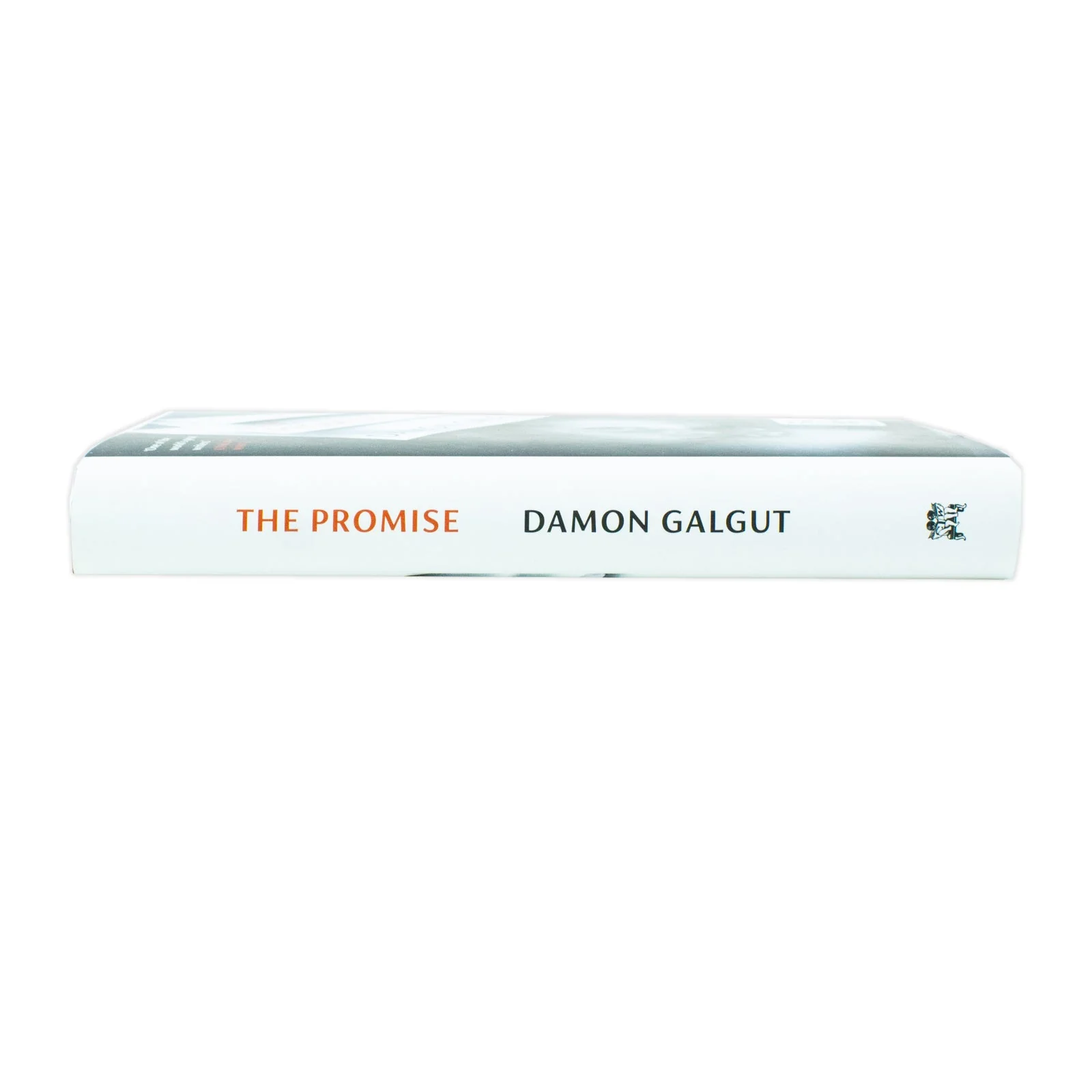 The Promise: WINNER OF THE BOOKER PRIZE 2021 by Damon Galgut - Image 2