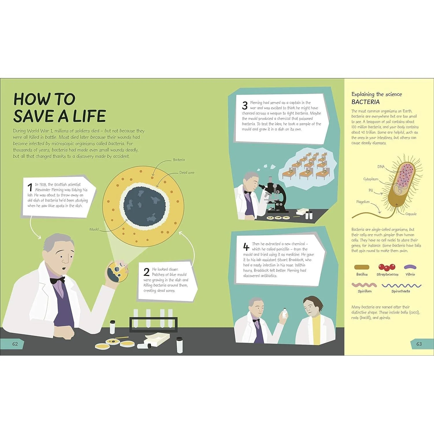 What's the Point of Science? by DK 9780241381847 - Image 6